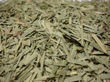 Lemon Grass (cut)