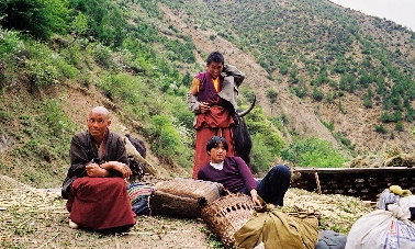 gestampfter Buttertee