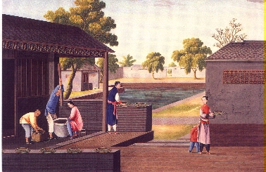 Rollen und Fermentierendes Tees