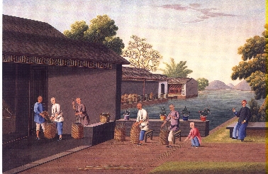 Verpacken in Bambusk&ouml;rbe