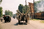 In Jaipur